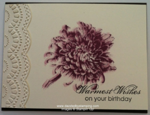 Blooming with Kindness, Delicate Designs embossing folder, www.dazzledbystamping.com