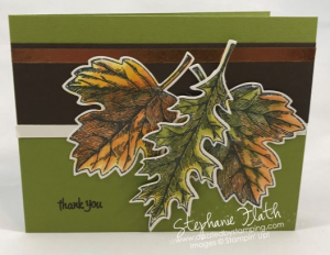 Vintage Leaves & Stampin Blends, www.dazzledbystamping.com