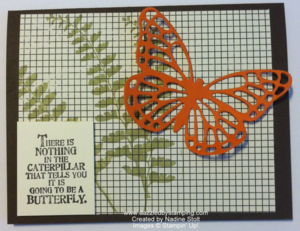 Butterfly Basics bundle, created by Nadine Stolt, www.dazzledbystamping.com