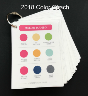 2018 Color Coach