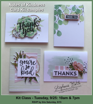 Notes of Kindness Card Kit Class, www.dazzledbystamping.com