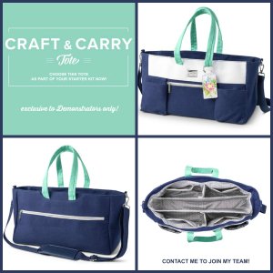 Craft n Carry Tote.4.2