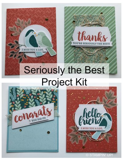 Seriously the Best Project Kit, www.dazzledbystamping.com