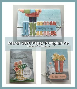 March 2020 Paper Pumpkin Kit.No Matter the Weather