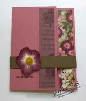 Itty Bitty Greetings, Pressed Petals [DSP & Washi Tape], www.dazzledbystamping.com