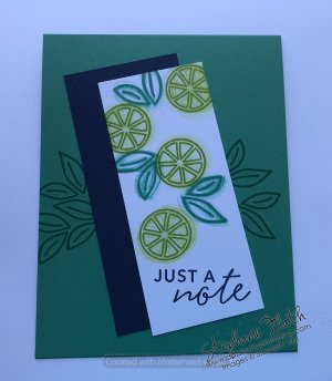 Simply Citrus Card Kit (alternative), www.dazzledbystamping.com