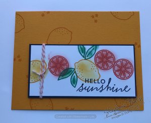 Simply Citrus Card Kit, www.dazzledbystamping.com