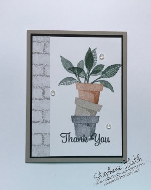 Plentiful Plants bundle, www.dazzledbystamping.com