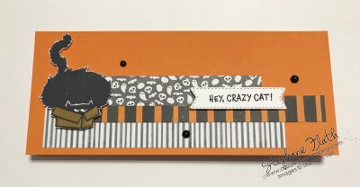 Clever Cats, www.dazzledbystamping.com
