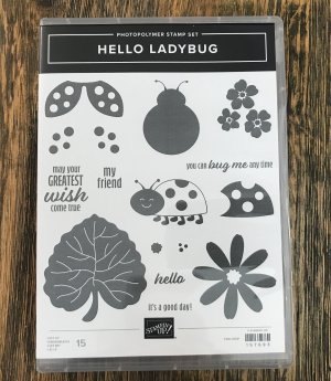 Hello Ladybug bundle, pg 20, item #157699, $32.25