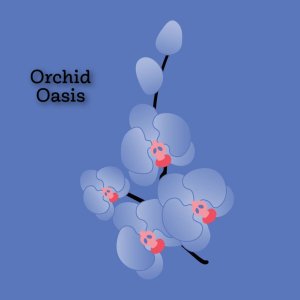 Orchid Oasis
