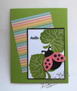 Hello Ladybug bundle, www.dazzledbystamping.com