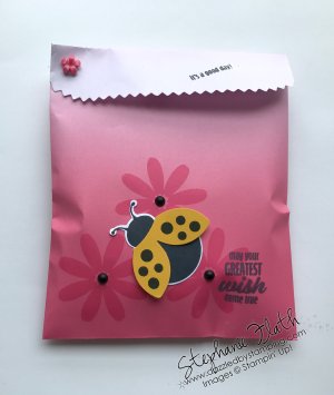 Hello Ladybug bundle, Ombre Gift Bags, www.dazzledbystamping.com