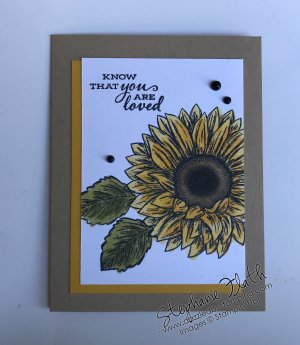 Celebrate Sunflowers, www.dazzledbystamping.com