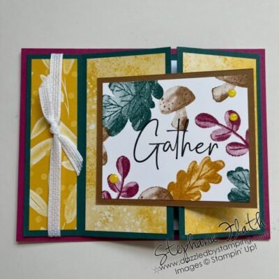 A Kit & a Fun Fold Closeup