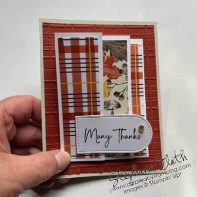 Mystery Fun Folds