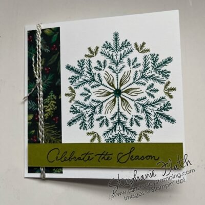 Delicate Pines Closeups